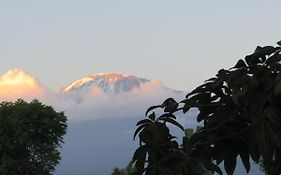 Kilimanjaro White House Hotel